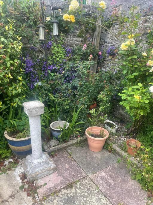 Ivybridge Cottage Buitenkant foto